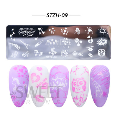 Χριστουγεννιάτικη πλάκα σφράγισης χριστουγεννιάτικων χριστουγεννιάτικων χριστουγεννιάτικων φύλλων νιφάδα χιονιού Dreamcatcher για βερνίκι νυχιών Εργαλεία προτύπων εκτύπωσης εικόνας BESTZ-N