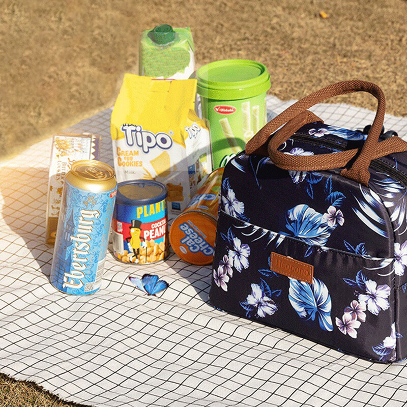 Prijenosne torbe za ručak za djevojčice Vodootporna termalna kutija za ručak Rashladna torba Tote Bento torbica Izolacijska torba za ručak Radna obiteljska piknika