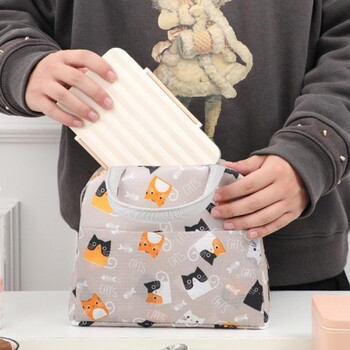 Bento Bag Insulation Lunch Bag Thickened Food Storage Bags Portable Student Μεγάλη χωρητικότητας Bento Pack Δοχείο γεύματος