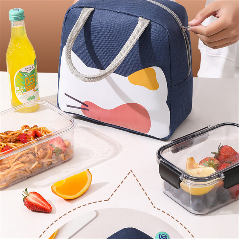 Kaasaskantav söögikarbi kott Väike käekott naistele tüdrukutele lastele lastele kaasaskantava õhtusöögi konteineri lõunakarbi isolatsioonipakett