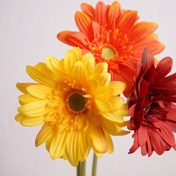 Hand Feel Moisturizing Gerbera Artificial Flower Branch Home Διακόσμηση γάμου Χρυσάνθεμο Μαργαρίτα Floral Σύνθεση Ταμπλέτας Dcoer