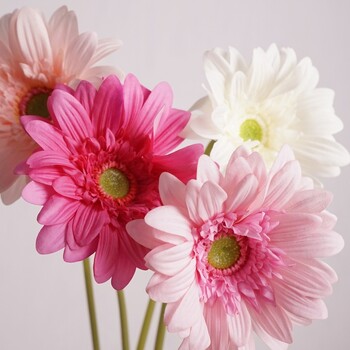 Hand Feel Moisturizing Gerbera Artificial Flower Branch Home Διακόσμηση γάμου Χρυσάνθεμο Μαργαρίτα Floral Σύνθεση Ταμπλέτας Dcoer