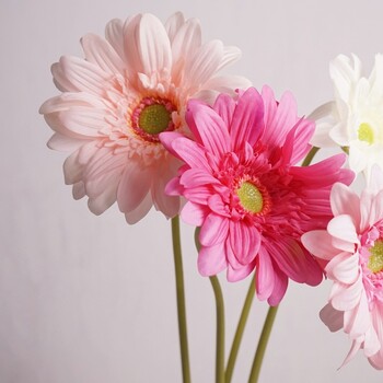 Hand Feel Moisturizing Gerbera Artificial Flower Branch Home Διακόσμηση γάμου Χρυσάνθεμο Μαργαρίτα Floral Σύνθεση Ταμπλέτας Dcoer