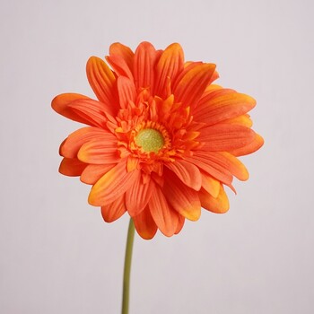 Hand Feel Moisturizing Gerbera Artificial Flower Branch Home Διακόσμηση γάμου Χρυσάνθεμο Μαργαρίτα Floral Σύνθεση Ταμπλέτας Dcoer