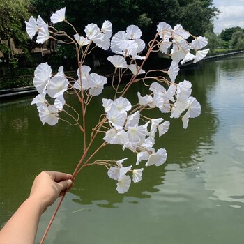 Τεχνητά λουλούδια Ορχιδέα μπουκέτο Silk Morning Glory Μπουκέτο με λουλούδια Γάμος Διακόσμηση σπιτιού Διακόσμηση τραπεζιού Διακόσμηση δώρου Στοιχεία