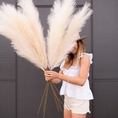1 τεμ. Faux Pampas Grass Decor Plume Grass Artificial Phragmites australis Διακοσμητικά βάζων Ψεύτικα καλάμια Φυτά Αιώνια λουλούδια