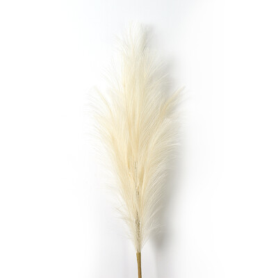 1 τεμ. Faux Pampas Grass Decor Plume Grass Artificial Phragmites australis Διακοσμητικά βάζων Ψεύτικα καλάμια Φυτά Αιώνια λουλούδια