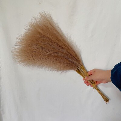 55CM 10PCS Fluffy Pampas Trava Boho Decor Lažna biljka Trska Simulacija vjenčanja Dekoracija doma Umjetno cvijeće