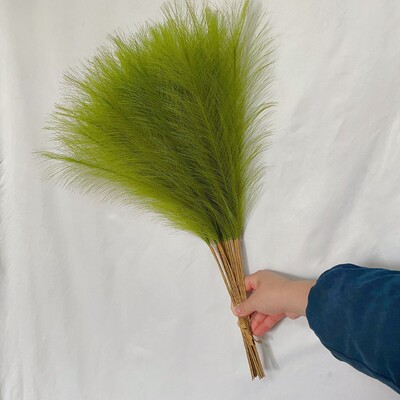55CM 10PCS Fluffy Pampas Trava Boho Decor Lažna biljka Trska Simulacija vjenčanja Dekoracija doma Umjetno cvijeće