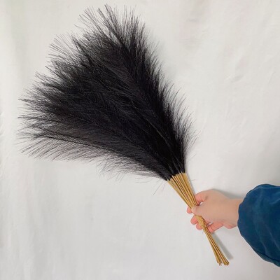 55CM 10PCS Fluffy Pampas Trava Boho Decor Lažna biljka Trska Simulacija vjenčanja Dekoracija doma Umjetno cvijeće