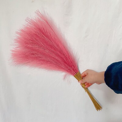 55CM 10PCS Fluffy Pampas Trava Boho Decor Lažna biljka Trska Simulacija vjenčanja Dekoracija doma Umjetno cvijeće