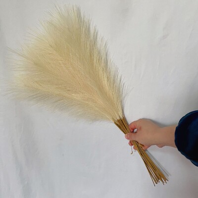 55CM 10PCS Fluffy Pampas Trava Boho Decor Lažna biljka Trska Simulacija vjenčanja Dekoracija doma Umjetno cvijeće