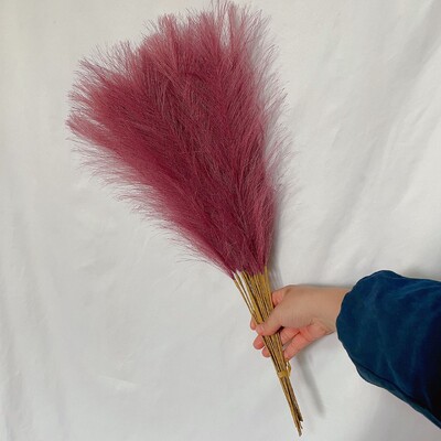 55CM 10PCS Fluffy Pampas Trava Boho Decor Lažna biljka Trska Simulacija vjenčanja Dekoracija doma Umjetno cvijeće