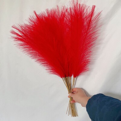 55CM 10PCS Fluffy Pampas Trava Boho Decor Lažna biljka Trska Simulacija vjenčanja Dekoracija doma Umjetno cvijeće