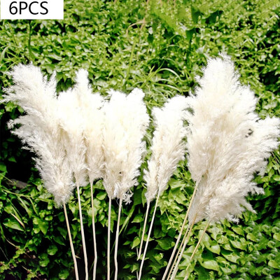 15 komada paperjastog pampas buketa suhog cvijeća Boho seoska vaza za dom Dekoracija zečića Zečji repovi Pampa rekviziti za vjenčanje Dekoracija