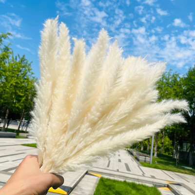 15 komada paperjastog pampas buketa suhog cvijeća Boho seoska vaza za dom Dekoracija zečića Zečji repovi Pampa rekviziti za vjenčanje Dekoracija