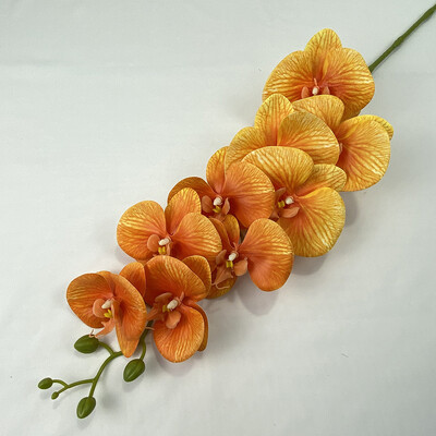 9 glava 3D ispis Phalaenopsis Real Touch Leptir Orhideja Vjenčanje Dnevna soba Dekoracija doma Stol Cvjetni aranžmani Ukrasi