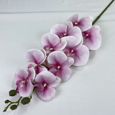 9 glava 3D ispis Phalaenopsis Real Touch Leptir Orhideja Vjenčanje Dnevna soba Dekoracija doma Stol Cvjetni aranžmani Ukrasi