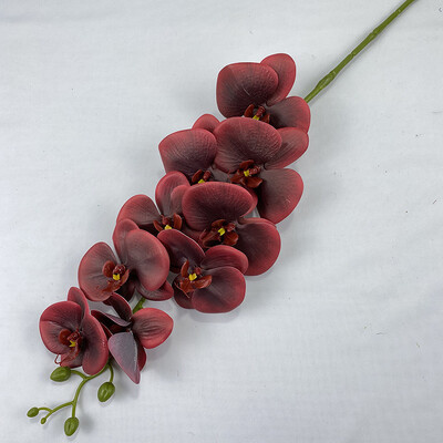 9 glava 3D ispis Phalaenopsis Real Touch Leptir Orhideja Vjenčanje Dnevna soba Dekoracija doma Stol Cvjetni aranžmani Ukrasi