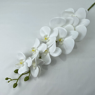 9 glava 3D ispis Phalaenopsis Real Touch Leptir Orhideja Vjenčanje Dnevna soba Dekoracija doma Stol Cvjetni aranžmani Ukrasi