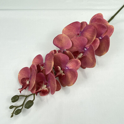 9 glava 3D ispis Phalaenopsis Real Touch Leptir Orhideja Vjenčanje Dnevna soba Dekoracija doma Stol Cvjetni aranžmani Ukrasi
