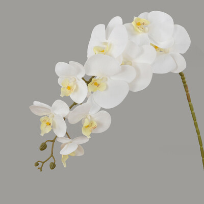 9 Heads 100cm Artificial Butterfly Orchid Flowers Real Touch Moth Orchids Fake Flower for Wedding Festival Party Διακόσμηση σπιτιού