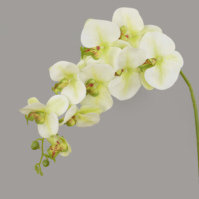9 Heads 100cm Artificial Butterfly Orchid Flowers Real Touch Moth Orchids Fake Flower for Wedding Festival Party Διακόσμηση σπιτιού