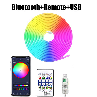 5V RGB neoninė juostelė 1M 2M 3M 5M USB vandeniui atspari lanksti juostelė neoniniai žibintai su Bluetooth nuotolinio valdymo pulteliu namų dekoravimui
