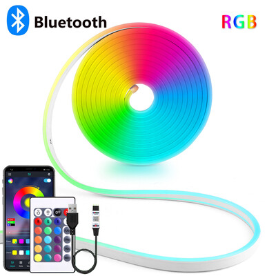 Bandă LED neon USB RGB DC5V, 1/2/3/4/5M IP65 Banda neon impermeabilă Aplicație Bluetooth și telecomandă pentru iluminat decorativ cu neon