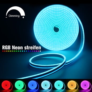 12V/24V EU щепсел RGB неонова LED лента, 1/2/3/4/5/10/15M водоустойчива RGB неонова лента Bluetooth приложение и дистанционно за неоново декоративно осветление