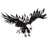 Patch Clothing Heat On Clothes Cool Eagle Iron-On Transfers Αυτοκόλλητα για Μπλουζάκια Ανδρικά Diy Parches Termoadhesivos Απλικέ