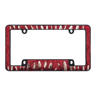 Πλαστικό κάλυμμα άδειας κυκλοφορίας για αυτοκίνητο