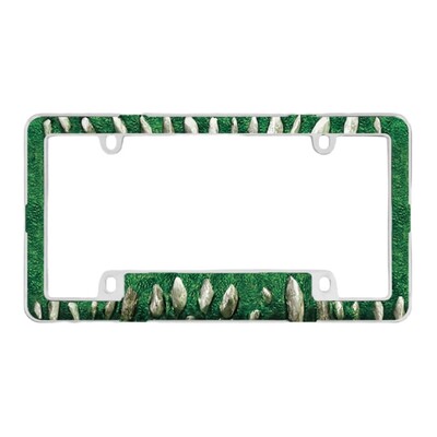 Πλαστικό κάλυμμα άδειας κυκλοφορίας για αυτοκίνητο