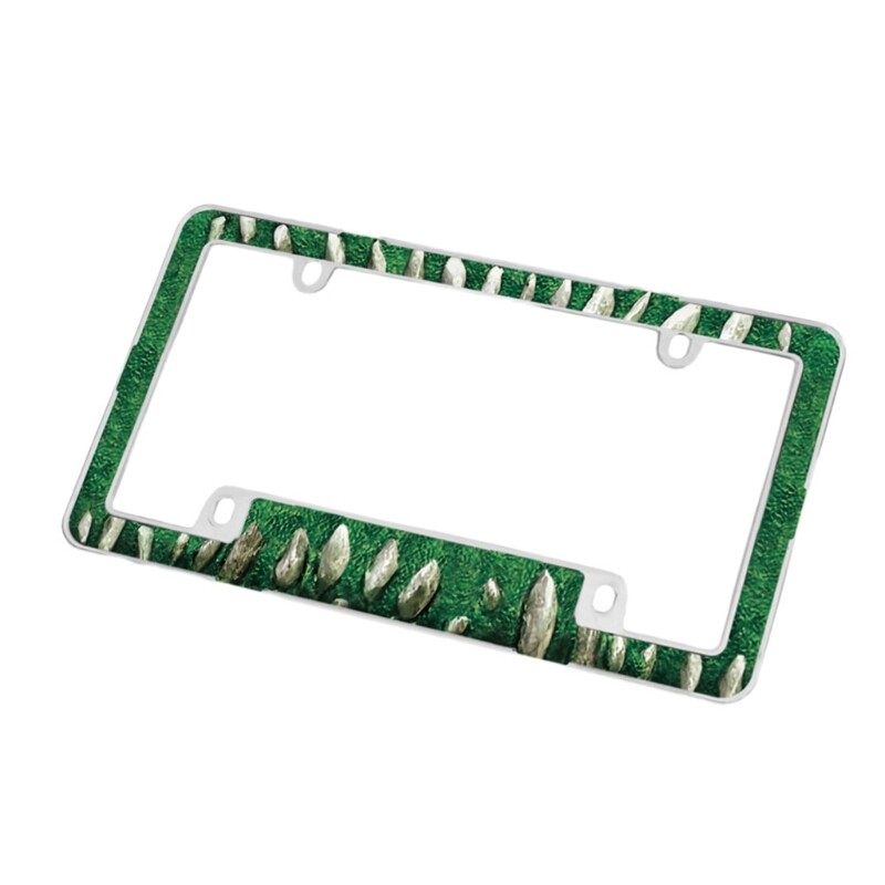 Πλαστικό κάλυμμα άδειας κυκλοφορίας για αυτοκίνητο