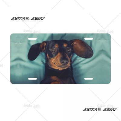 Personalized Sausage Dog πινακίδα Dachshund Διακοσμητικό Αυτοκίνητο Μπροστινή πινακίδα Αλουμινίου Μεταλλική πινακίδα Vanity Tag 6 x 12 ιντσών