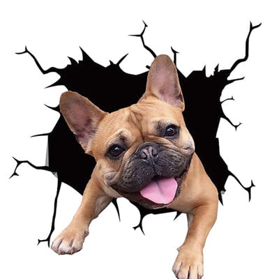Αυτοκόλλητο αυτοκινήτου Αυτοκόλλητα πίσω παραθύρου κουτάβι Αυτοκόλλητα σπασμένου παραθύρου Ηλεκτροστατική τρισδιάστατη προσομοίωση Αυτοκόλλητα αυτοκινήτου γαλλικού μπουλντόγκ Αυτοκόλλητα βινυλίου