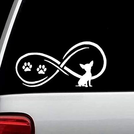 C1058 Chihuahua Dog Infinity matrica