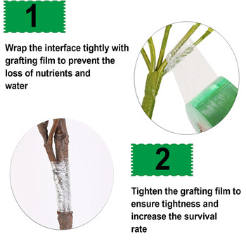 2/2,5/3 CM Μοσχευματική Ταινία Εργαλεία Κήπου Κλάπτες Φρούτων Δέντρων Engraft Branch Ζώνη δεσμών κηπουρικής γραβάτα PVC Αξεσουάρ εμβολιασμού ταινίας