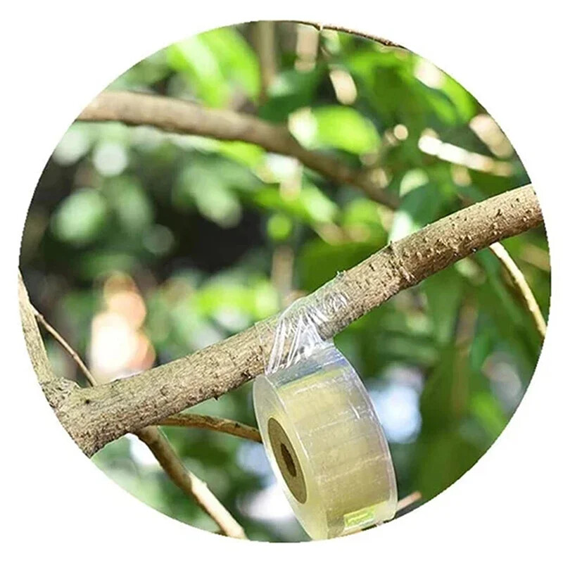 200M darželio skiepijimo juostos ritinėlis, tamprus lipnus, skaidomas baltas skiepijimo juosta augalas kaklaraiščio juosta skiepijimo juosta