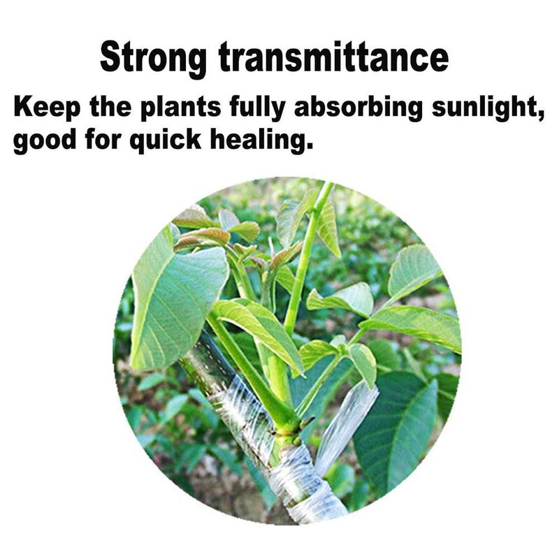 200 m medelyno skiepijimo juostos rulonas Tamprus lipnios juostos augalas genėjimas skiepijimas parafilmas sodas skaidri tampri plėvelė