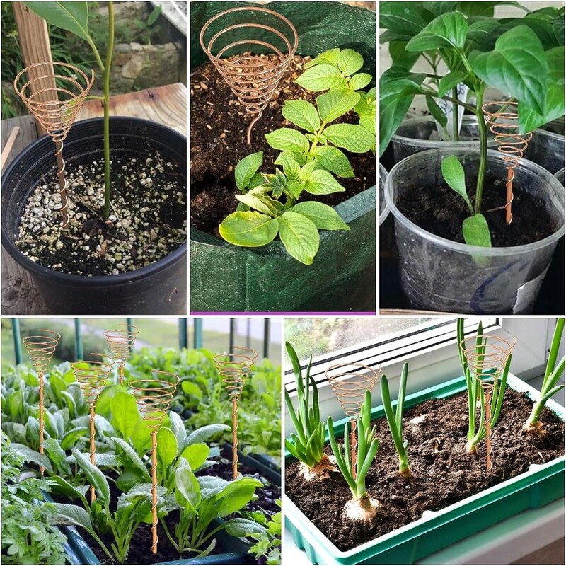 Elektrokultūros augalų kuolai Sodininkystė Varinės ritės antenos sodo augalams ir daržovėms auginti naudojant eterio energiją