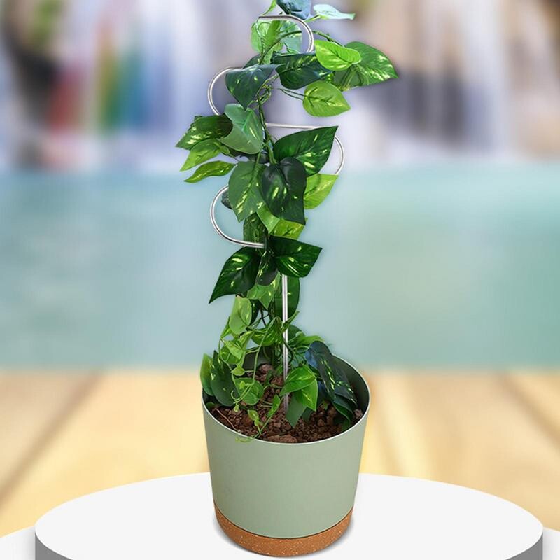 Bijūnų narvai ir atramos nerūdijančio plieno sodo kuoliukai vijokliniams augalams Hortenzijos atraminiai narvelio augalo kuoliukai sodo įrankis