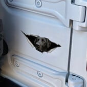Samolepky na auto s labradorským vzorom, vinylové nálepky na auto, 3D efekty, nálepky na notebook, fľašu, nákladné auto, telefón, motocykel, okno, nástenné nálepky na poháre.