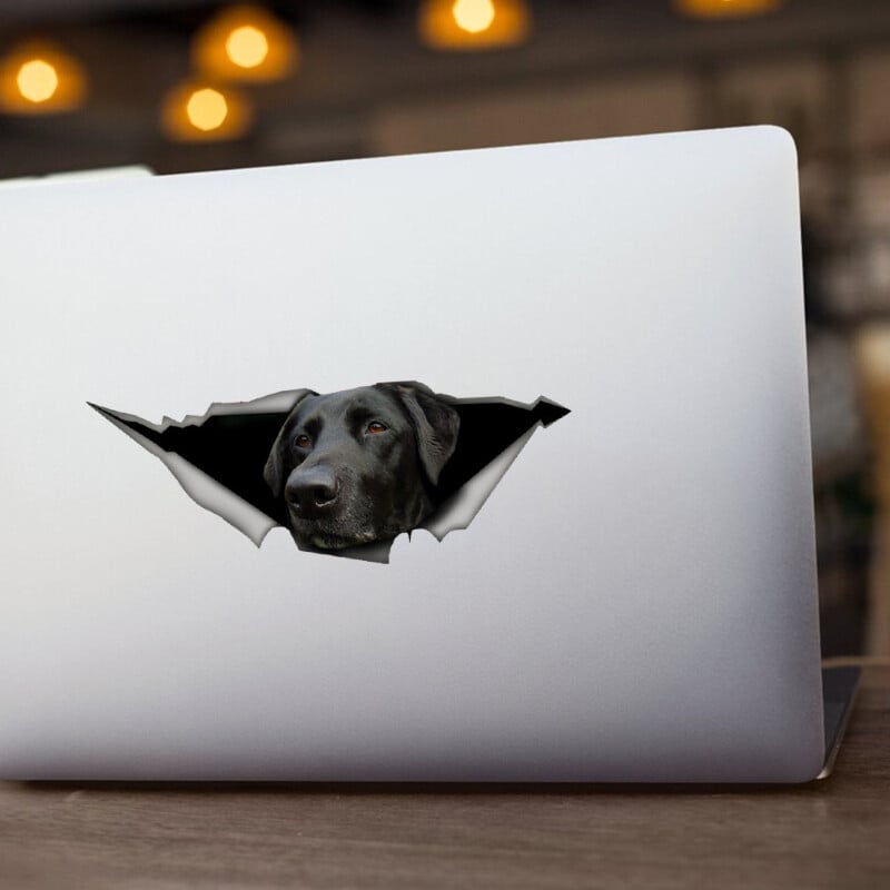 Samolepky na auto s labradorským vzorom, vinylové nálepky na auto, 3D efekty, nálepky na notebook, fľašu, nákladné auto, telefón, motocykel, okno, nástenné nálepky na poháre.