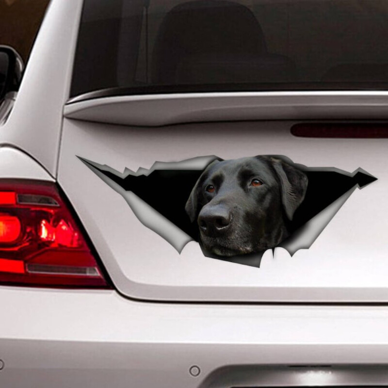 Samolepky na auto s labradorským vzorom, vinylové nálepky na auto, 3D efekty, nálepky na notebook, fľašu, nákladné auto, telefón, motocykel, okno, nástenné nálepky na poháre.