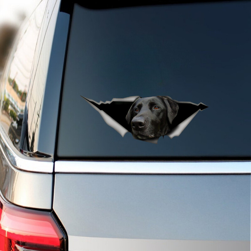 Samolepky na auto s labradorským vzorom, vinylové nálepky na auto, 3D efekty, nálepky na notebook, fľašu, nákladné auto, telefón, motocykel, okno, nástenné nálepky na poháre.