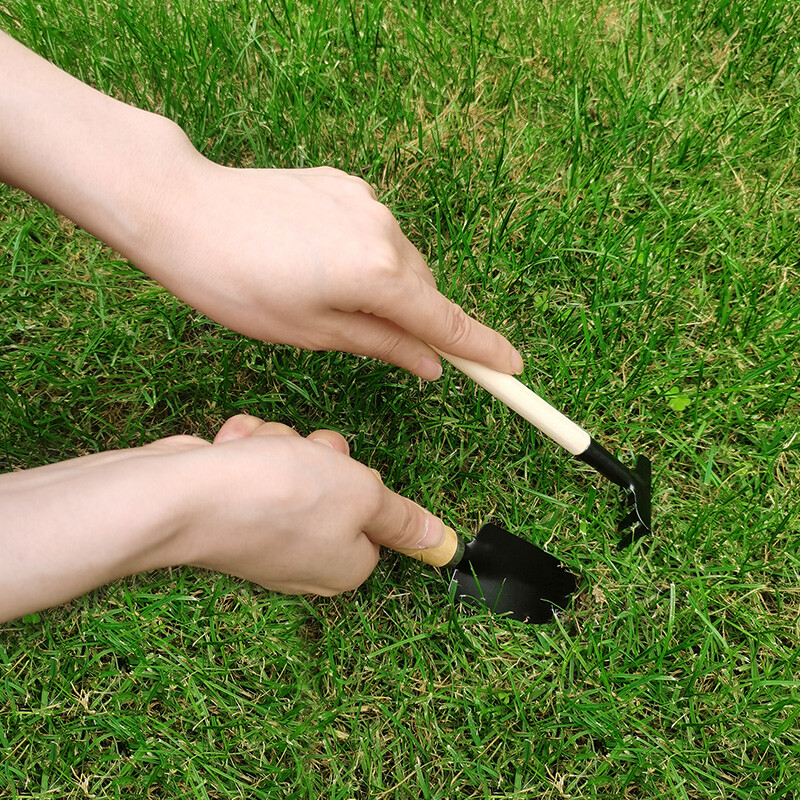 3/6 ks drevená rukoväť železná záhradná lopata hrable rýľ na kvety črepníkové rastliny bonsai mini záhradné náradie sada kopanie odburiňovanie
