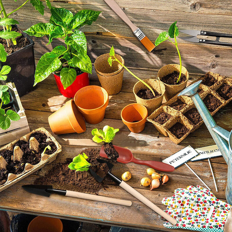 Sultingi augalai Įrankiai Lengvas bonsų persodinimo rinkinys Mini sodo rankiniai įrankiai Kambarių miniatiūrinių augalų priežiūra kraštovaizdžiui