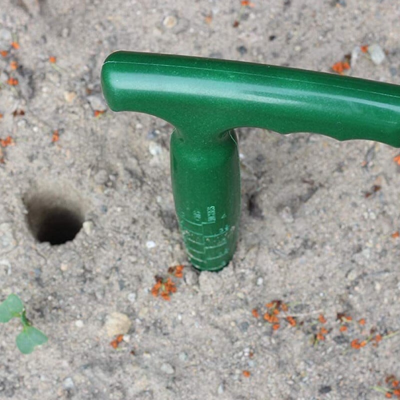 1 vnt Didelės skylutės Sodo reikmenys Plaktukas skylių perforatorius Didmeninė sėjos auginiai Daigai Daigai Sultingi Įrankių kasimo įrankiai