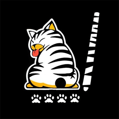 ΝΕΟ Αυτοκόλλητο με ανακλαστικό υαλοκαθαριστήρα πίσω παρμπρίζ αυτοκινήτου Κουνώντας την ουρά γάτας Αυτοκόλλητο Αυτοκόλλητο Διακόσμηση αυτοκινήτου Αξεσουάρ στυλ